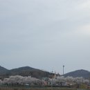 금성농약사 이미지