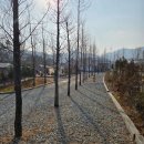 아산밸리서로 | 아이동반 천안아산 모나팜캠핑장 시설 및 R구역 후기