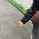 오리날개튀김 | 광주 송정역시장 맛집ㅣ 1913송정 오리날개튀김 포장 후기