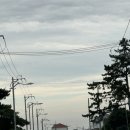 하늘고래블루 | 제주 서쪽 감성 독채 숙소 : 하늘 고래 블루 다녀온 솔직 후기