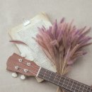 한샘플라워 이미지