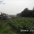 석우리주유소 이미지