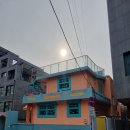 해피쿠키데이 | 합정 카페 내돈내산, 해피베어데이 본점 곰돌이 쿠키 리얼 후기