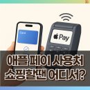 애플페이 사용처 쇼핑 2025 최신판