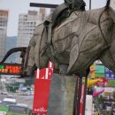 돈키호테-무식한 소 이미지