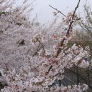 사직야구장 주변 이미지