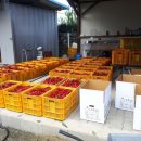 찬들농장 이미지