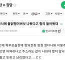 중고등학교 급식 메뉴로 불닭 된다? 안된다? 이미지