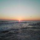 동해일출 이미지