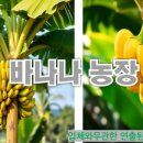 선자농장 이미지