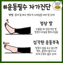 팔팔장 이미지