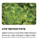 도래울약국 네이버블로그