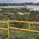 구들민박 이미지