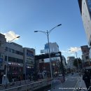 문화아파트 앞 횡단보도 | #최유리콘서트2025머무름_서울콘서트