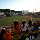 한밭야구장 이미지