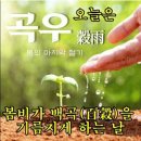 곡우(穀雨) 이미지