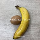 화,목 굿모닝 요가 | [크로스핏] 수원 인계동 성공다이어트짐 운동일지(+식단) #7주차