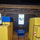 대일바이크 | 종로 인사동 아이들 체험 맛집, 런닝맨 인사동점