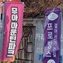 청도아리아펜션 | 방학에 여기 안 가면 손해 눈썰매 바로 앞 청도아리아펜션 실후기