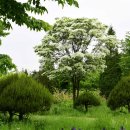 드림파크 이미지