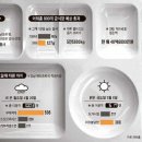 성별식당 네이버블로그