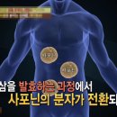 아이들 먹기 좋은 발효홍삼 키즈 :) 이미지