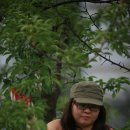 도자농장 이미지