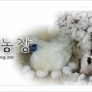 응암농장 이미지