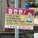 D9 | 턴 버지 D9 미니벨로 국토종주 후기