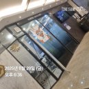 코뿔소이비인후과의원 이미지