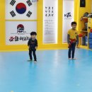 조한태권도장 이미지