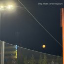 성골매만두 | 250710 기아 vs 한화 전반기 마지막경기 직관/한화생명볼파크 1루 110구역 시야/한화 스윕승