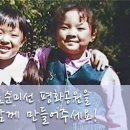 다미선
