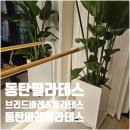 송동 | 동탄호수필라테스 후기, 동탄 송동 바레전문 브리드바레&amp;필라테스 체험부터 패키지 등록까지