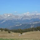 금광동물병원 이미지