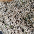 18  엄마 반찬 이미지