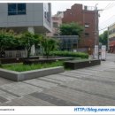 커피사피엔스 서울숲 비즈포레점 네이버블로그