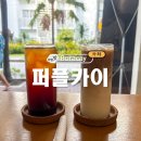 카이 | 보라카이 디저트 맛집 카페 퍼플카이 내돈내산 후기