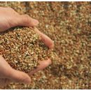 (주)밀투밸런스 이미지