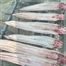 3월 21일(목) 목포는항구다 생선카페 판매생선 [ ＜건조생선＞ 아나고장어, 병어 / "예약" 자반고등어 ] 이미지