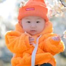 세종시사진관꽃구름스튜디오