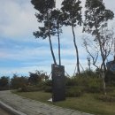 호텔탑스텐 | 강릉 탑스텐호텔 :: 아기랑 온돌방 내돈내산 후기