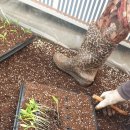 효경농장 이미지