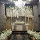 갤러리움웨딩홀부페 이미지