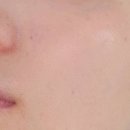 바르고자는 톤업크림 넘나 놀라운 온고리즘 엑소좀 시카 파이토 크림