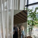 카페스윔(cafe swim) | 용인 처인구 조용한 브런치 맛집 카페 스윔 Swim 내돈내산 재방문 후기