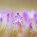 은척농협 이미지