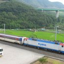 플로라 호스텔 이미지