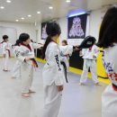반월태권도장 | 용인대 타이거즈 태권도장 : 자녀를 위해서는 절대적으로!