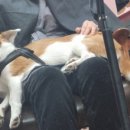 재영헤어샵